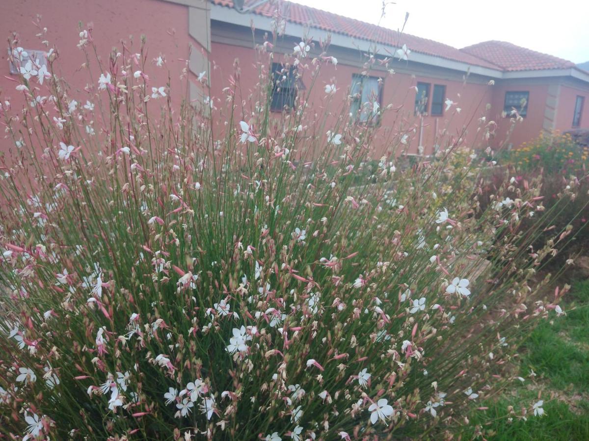 Twilight Breeze Lodge Phuthaditjhaba Esterno foto